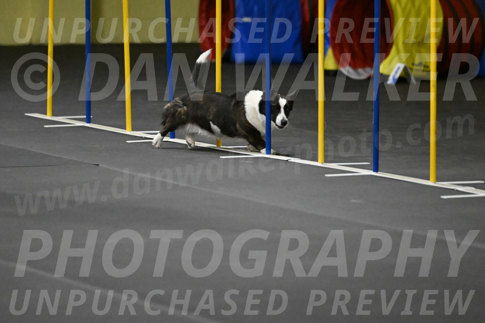 Audacity-Santin-15634