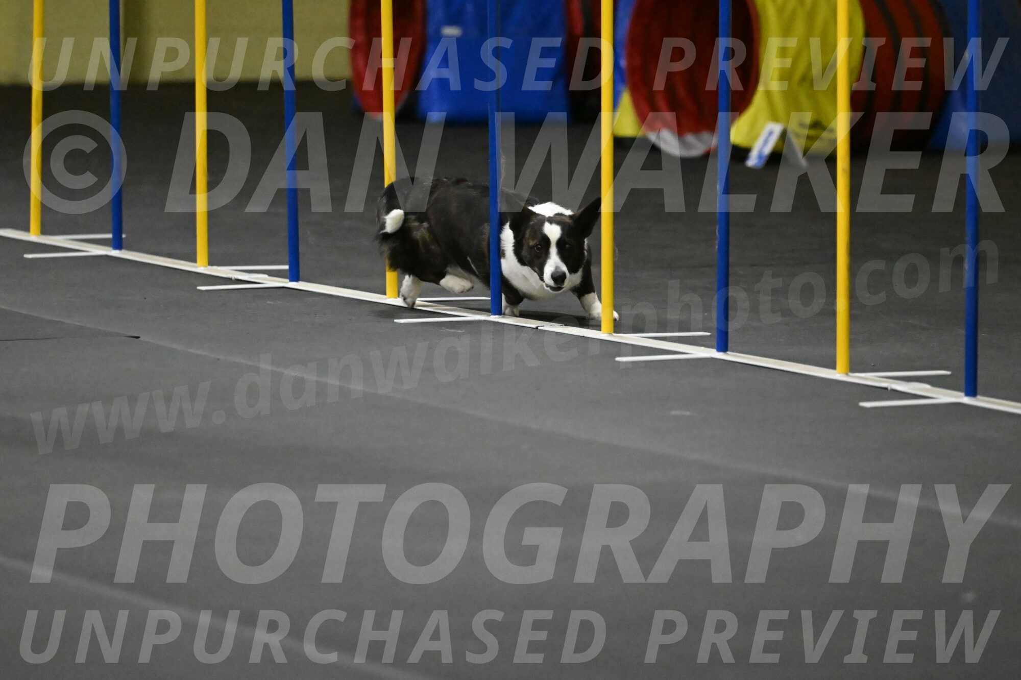 Audacity-Santin-15635