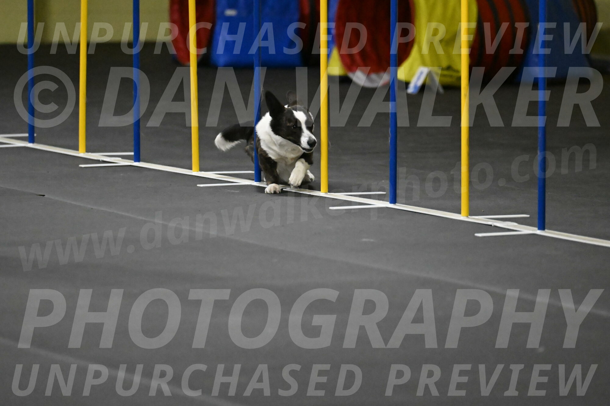 Audacity-Santin-15637