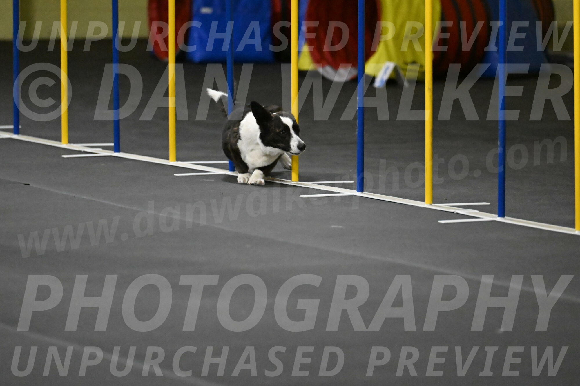 Audacity-Santin-15638