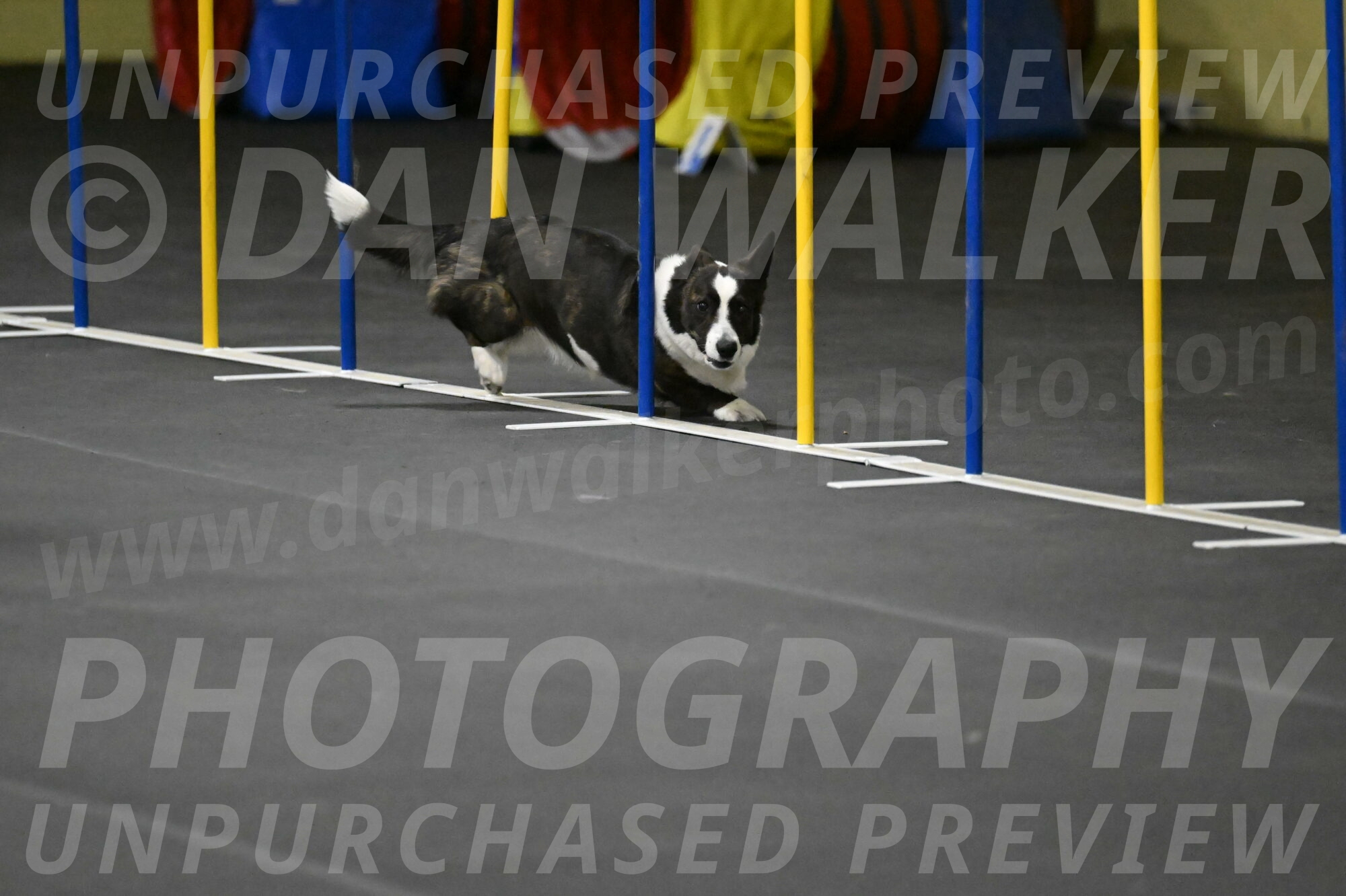 Audacity-Santin-15641