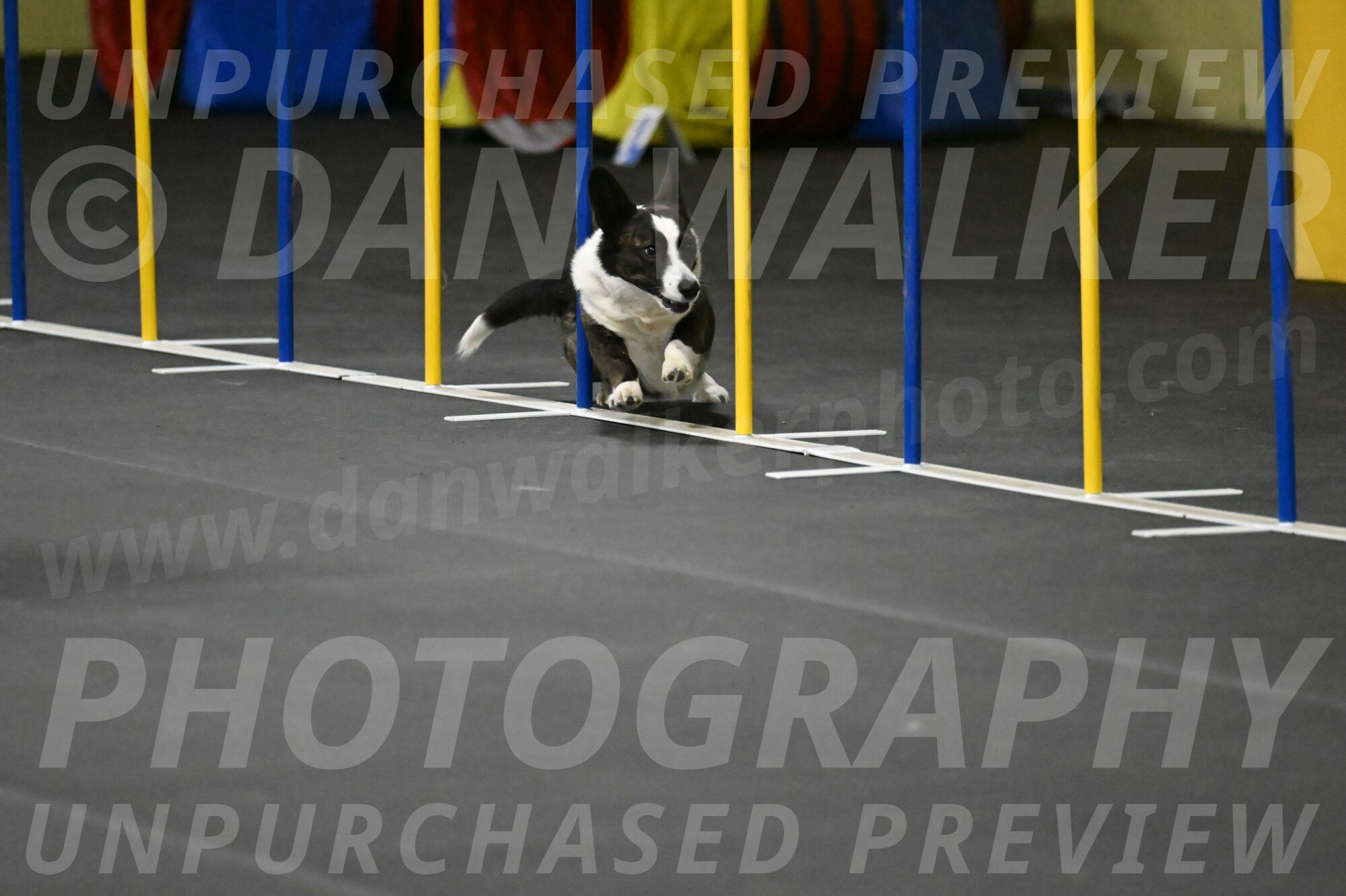 Audacity-Santin-15643