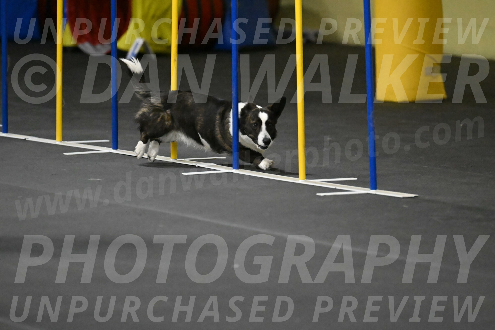 Audacity-Santin-15647