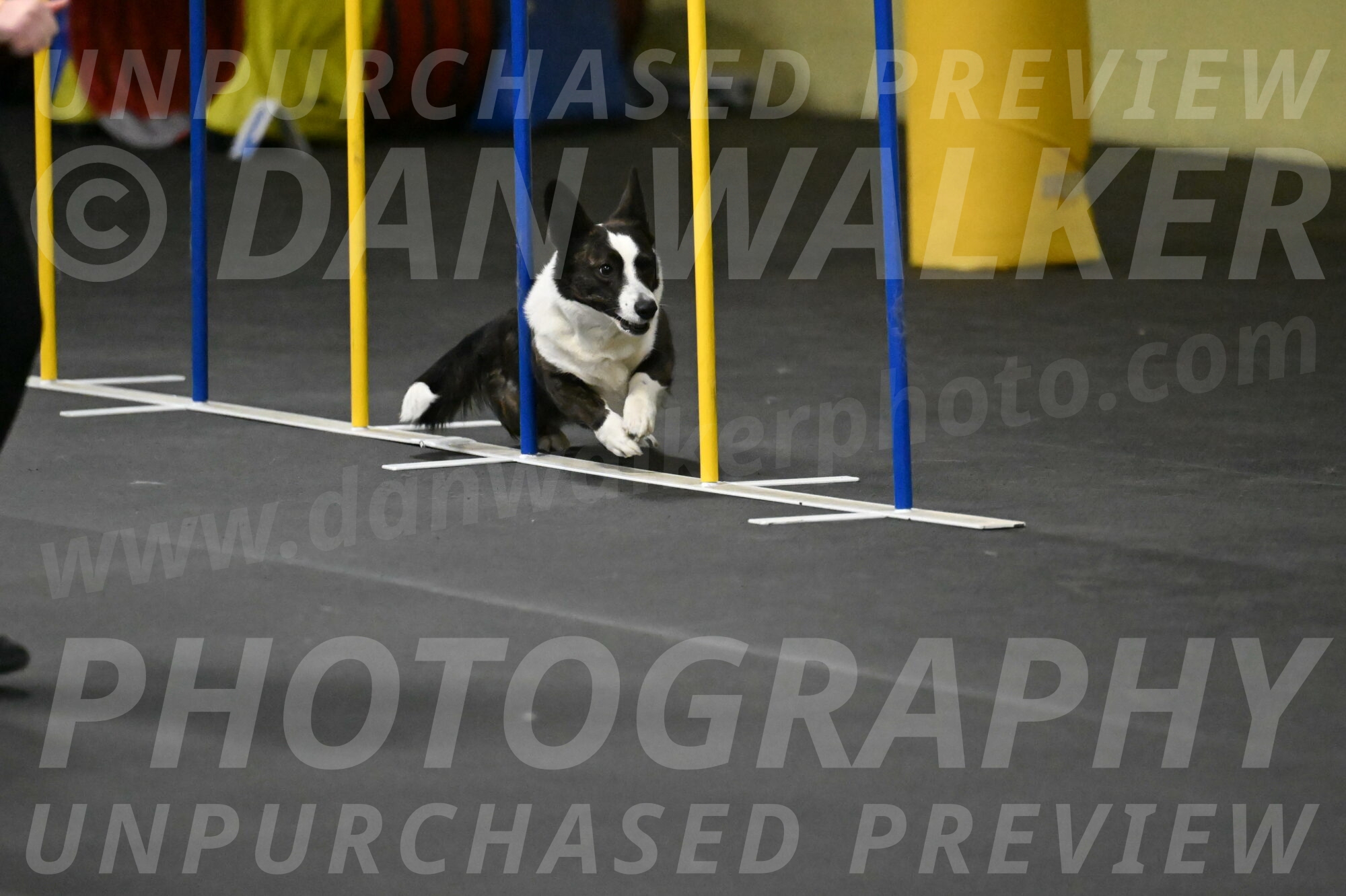 Audacity-Santin-15649