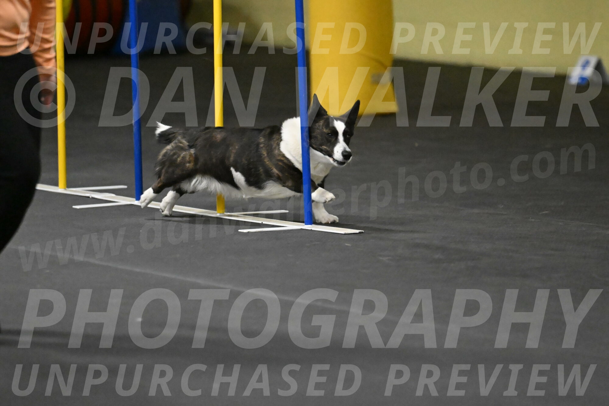 Audacity-Santin-15653