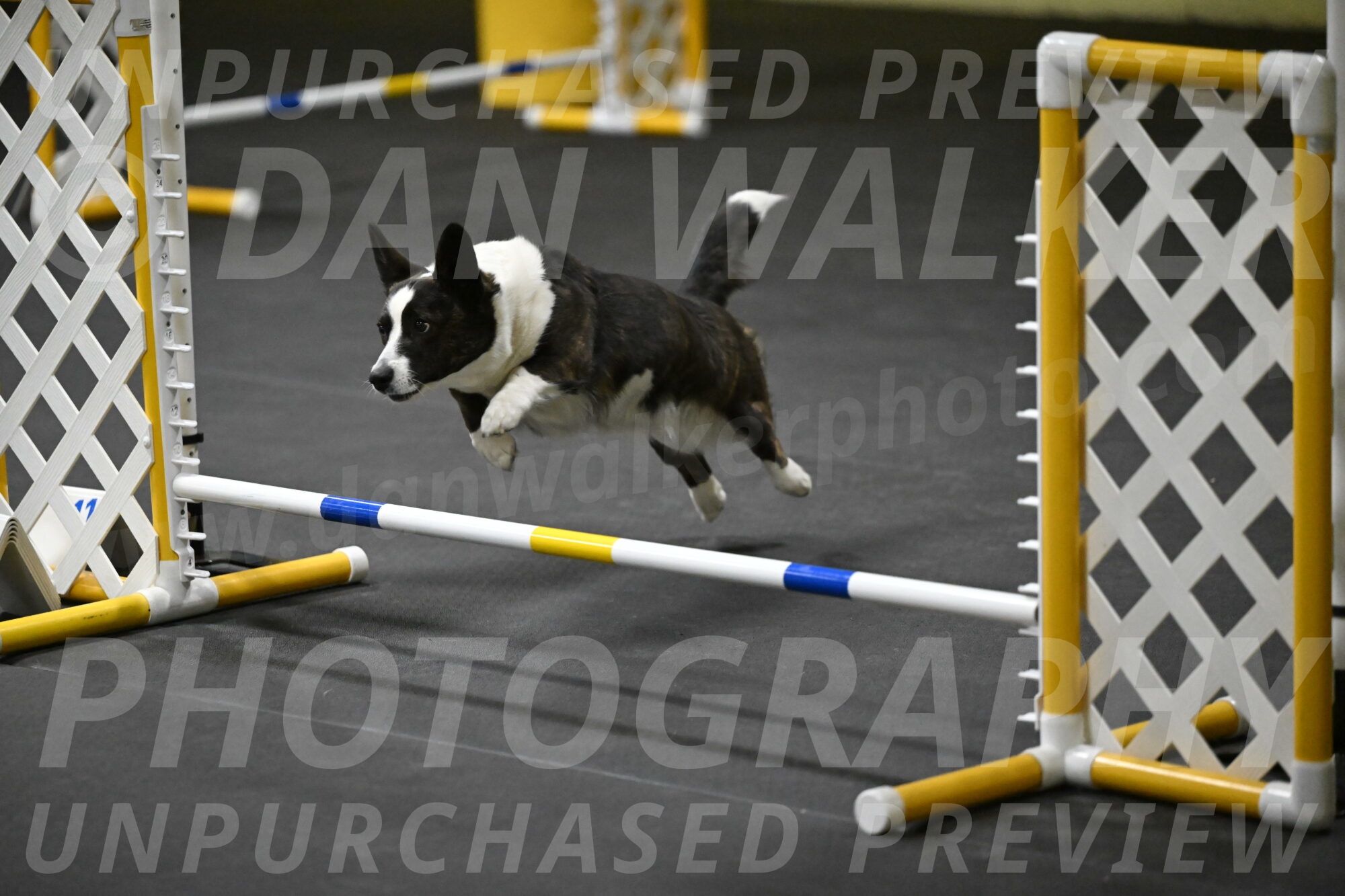 Audacity-Santin-15656