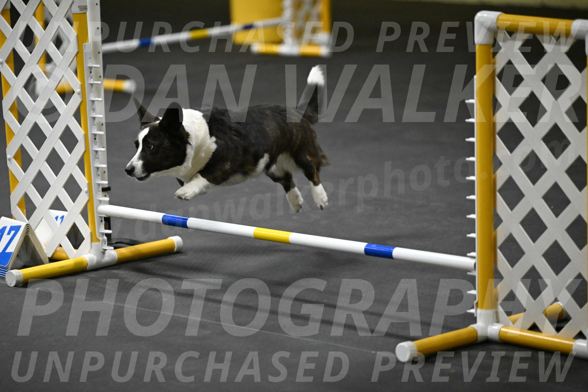 Audacity-Santin-15657