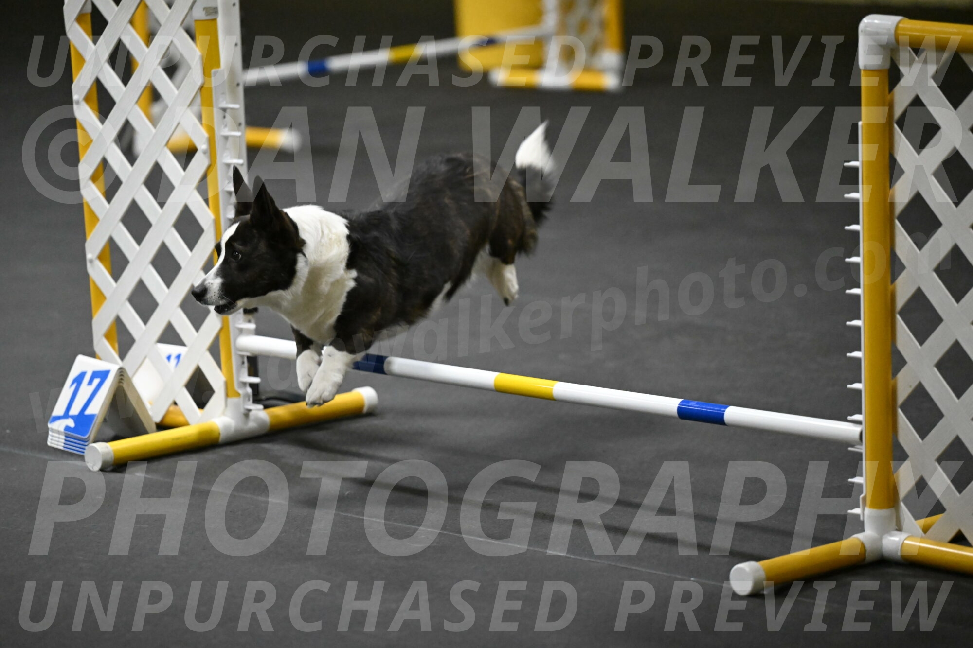 Audacity-Santin-15658