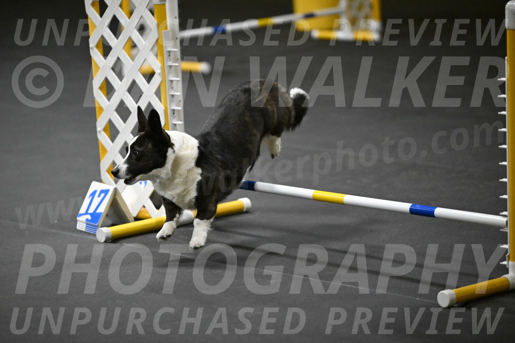 Audacity-Santin-15659