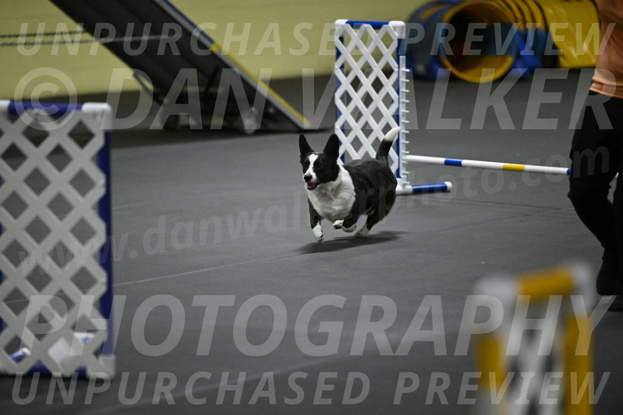 Audacity-Santin-15662