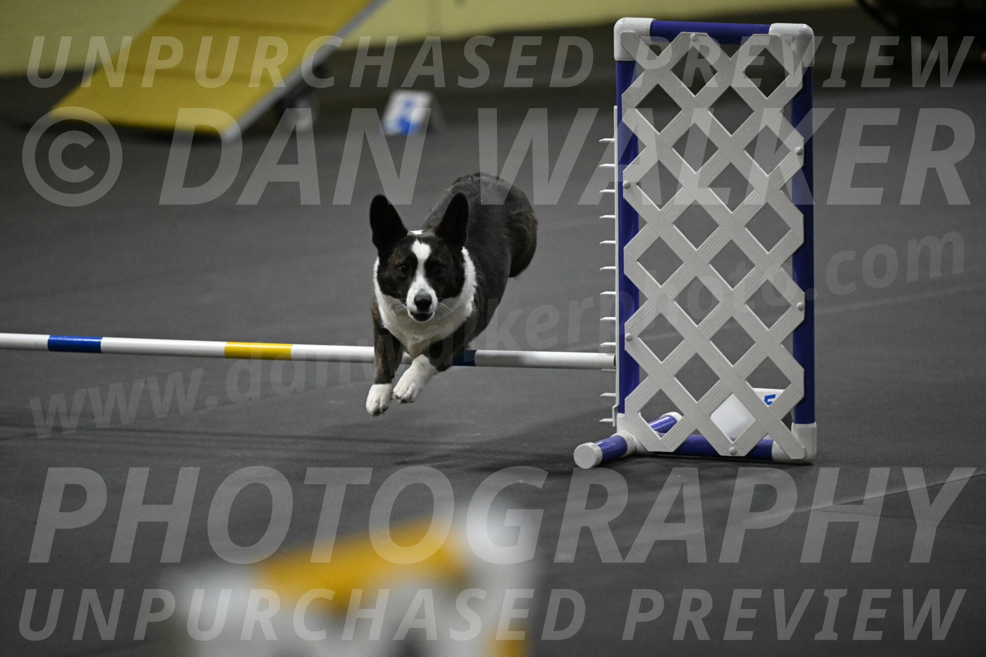 Audacity-Santin-15664