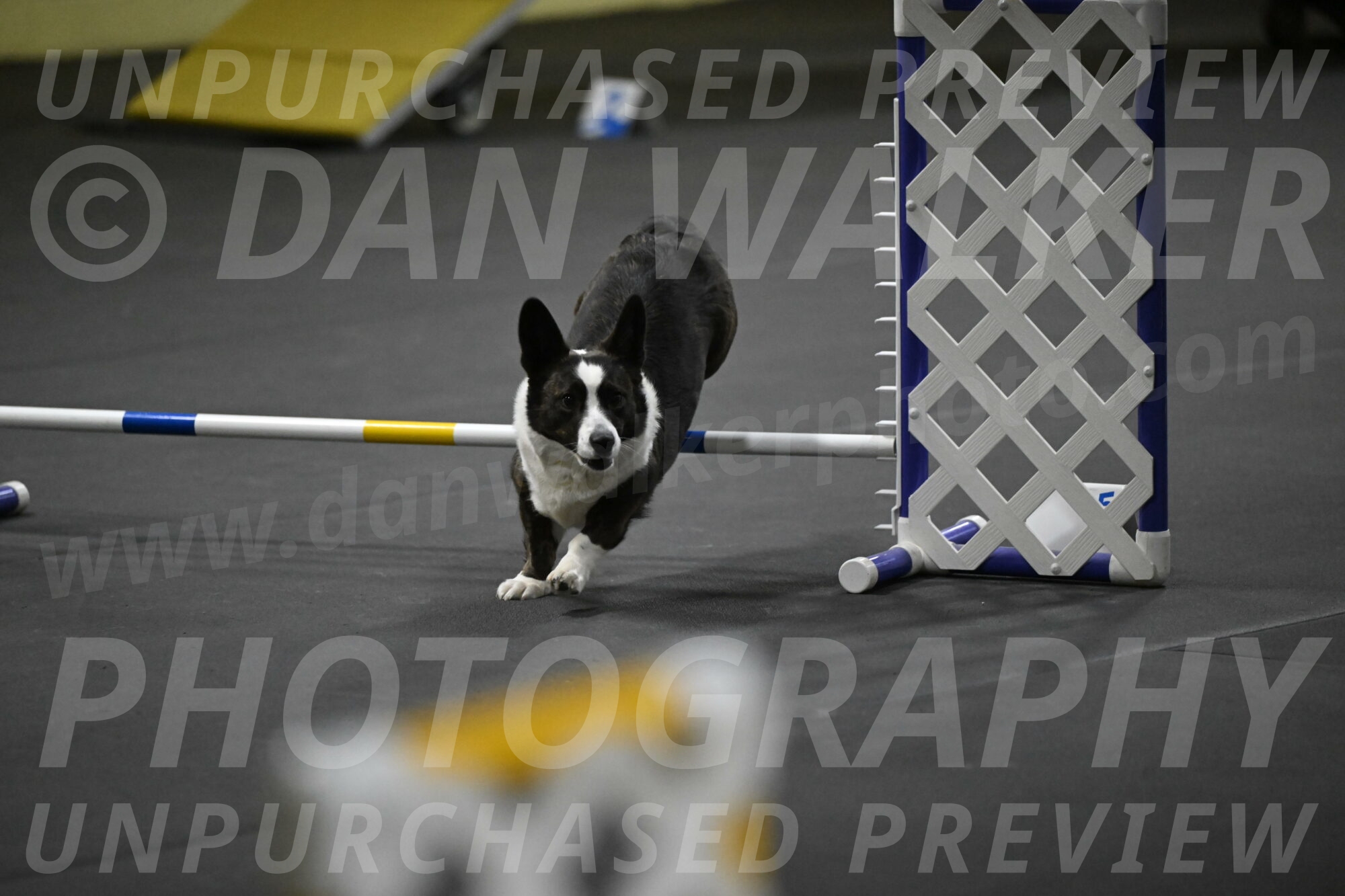 Audacity-Santin-15665