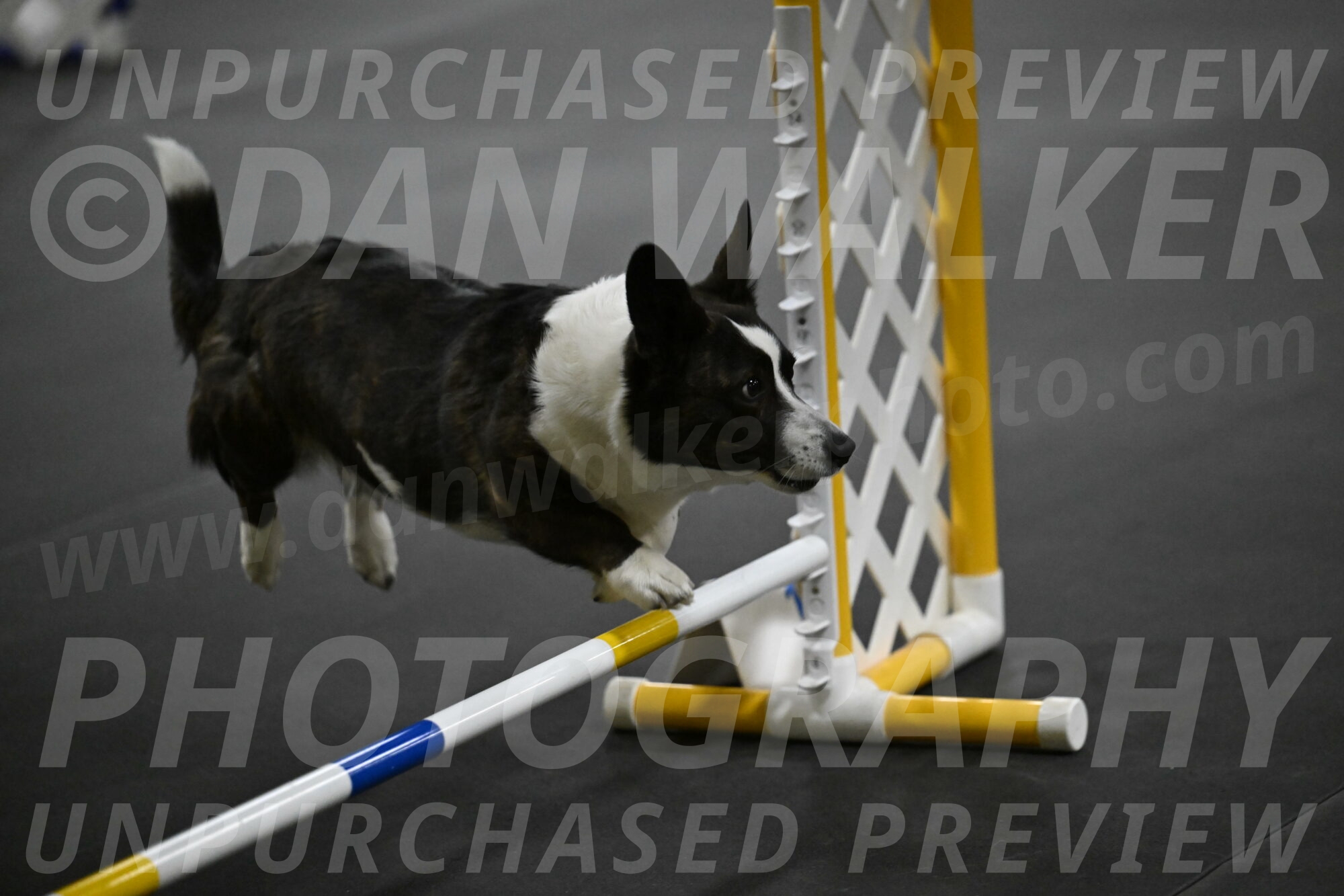 Audacity-Santin-15672