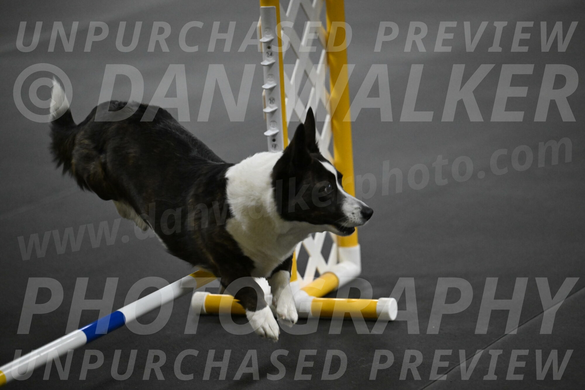 Audacity-Santin-15673