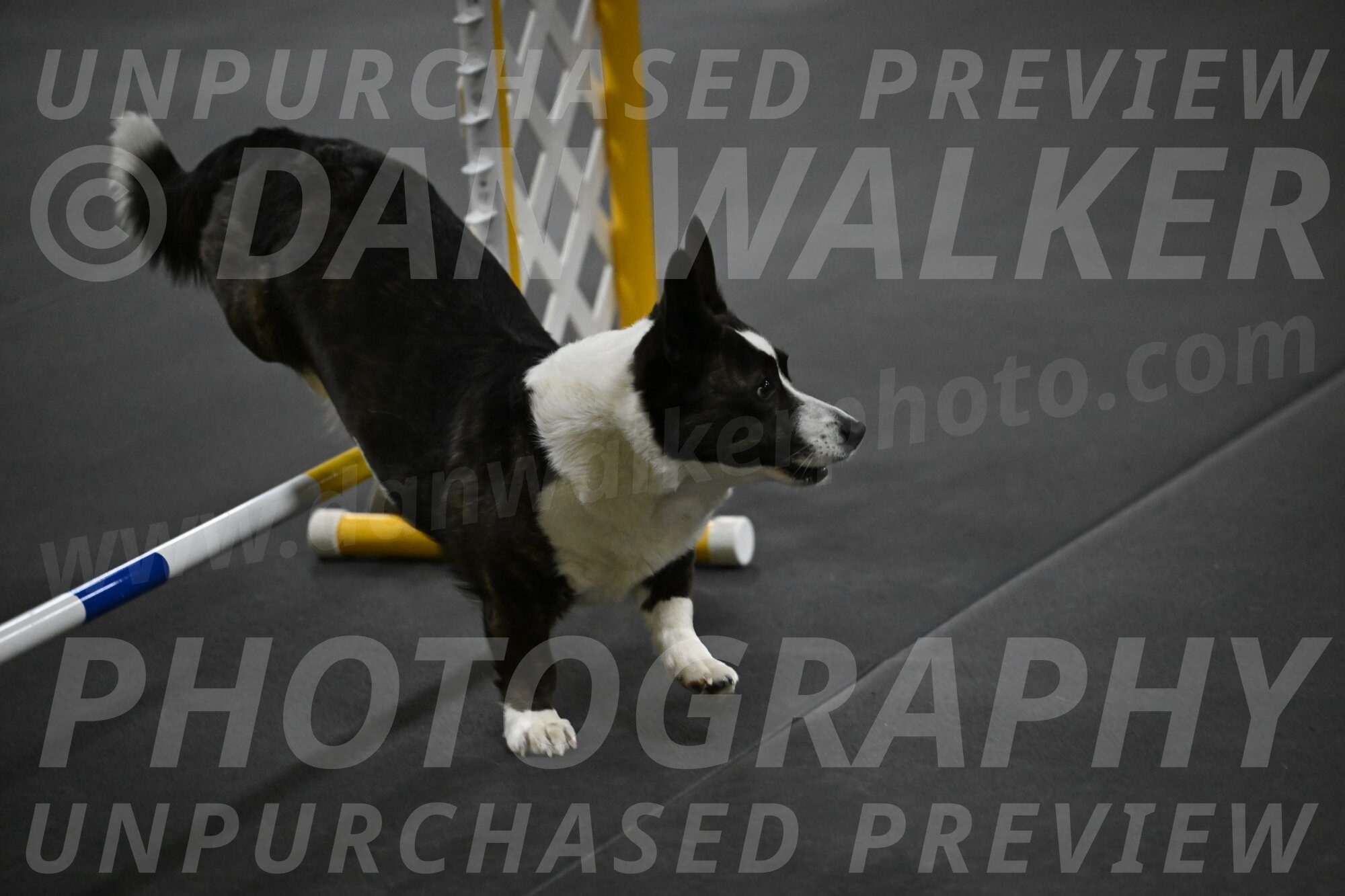 Audacity-Santin-15674