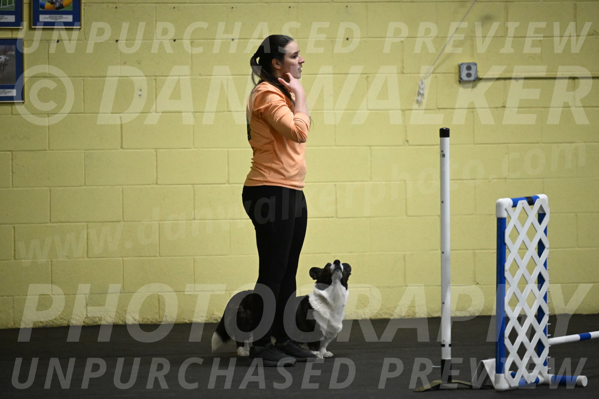 Audacity-Santin-15676