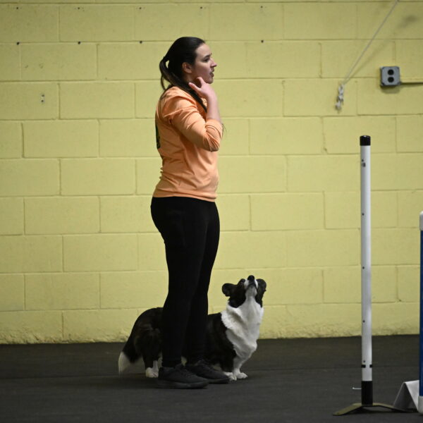 Audacity-Santin-15676