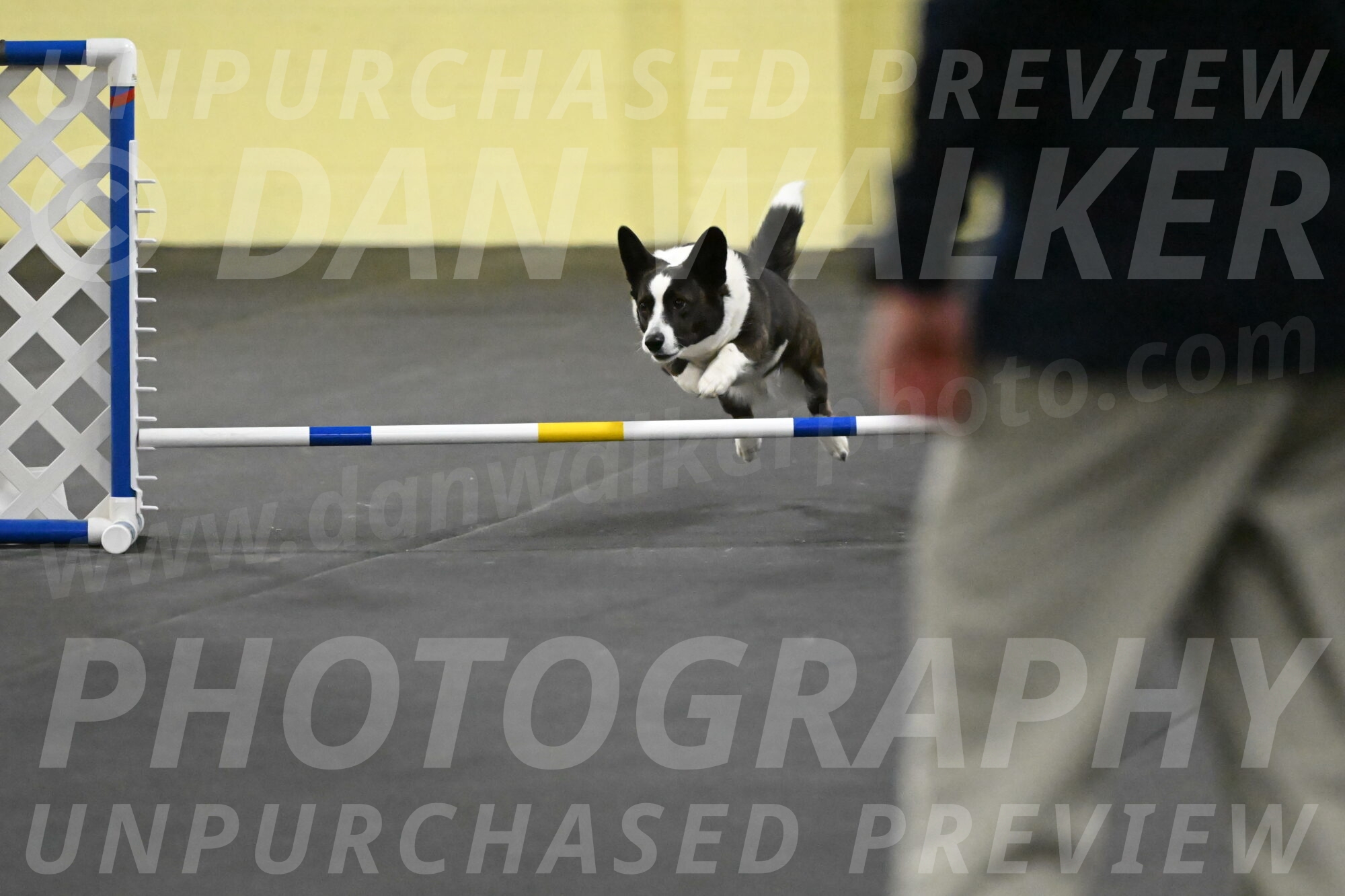 Audacity-Santin-15690