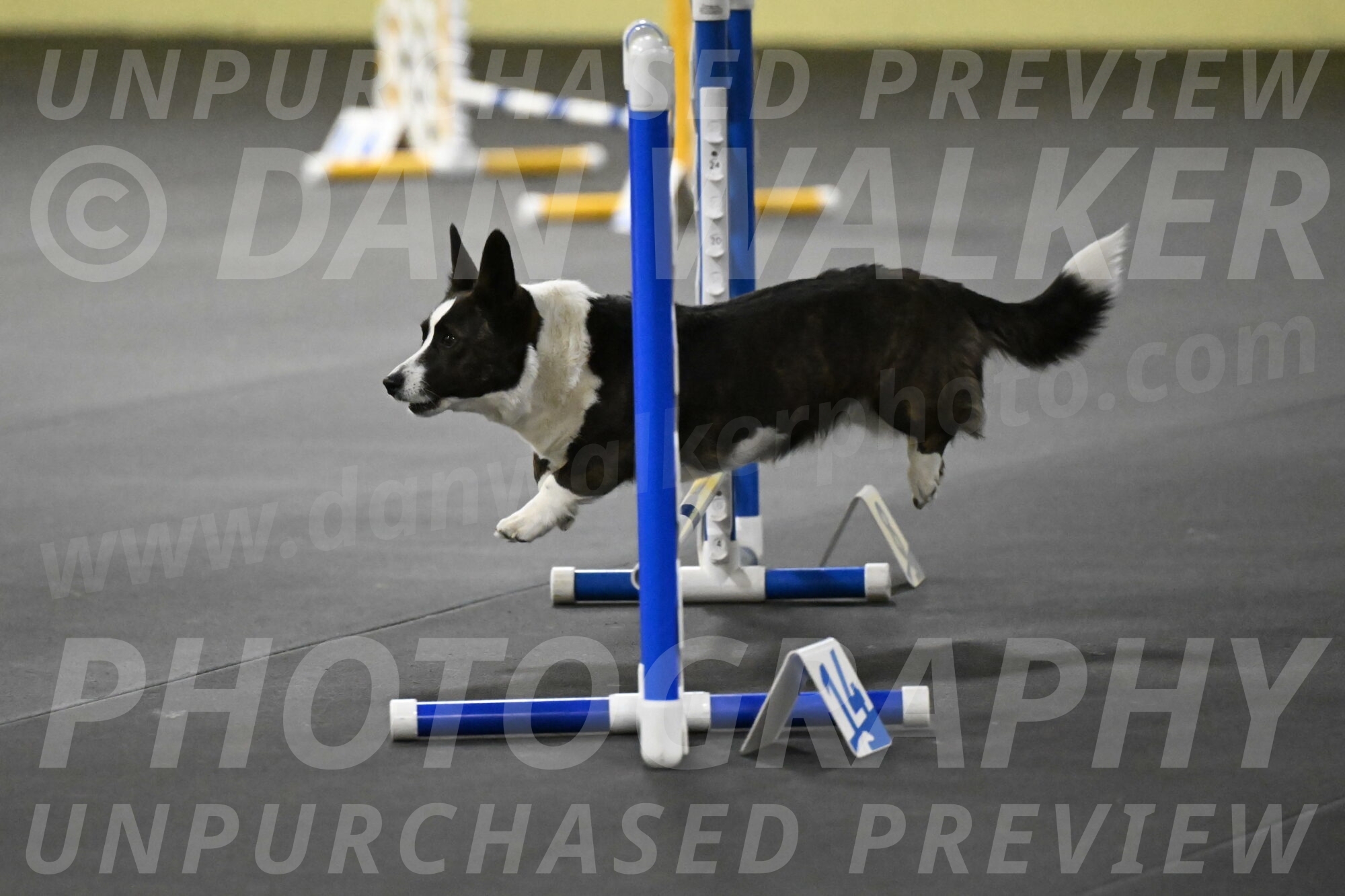 Audacity-Santin-15692