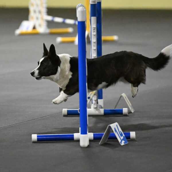 Audacity-Santin-15692