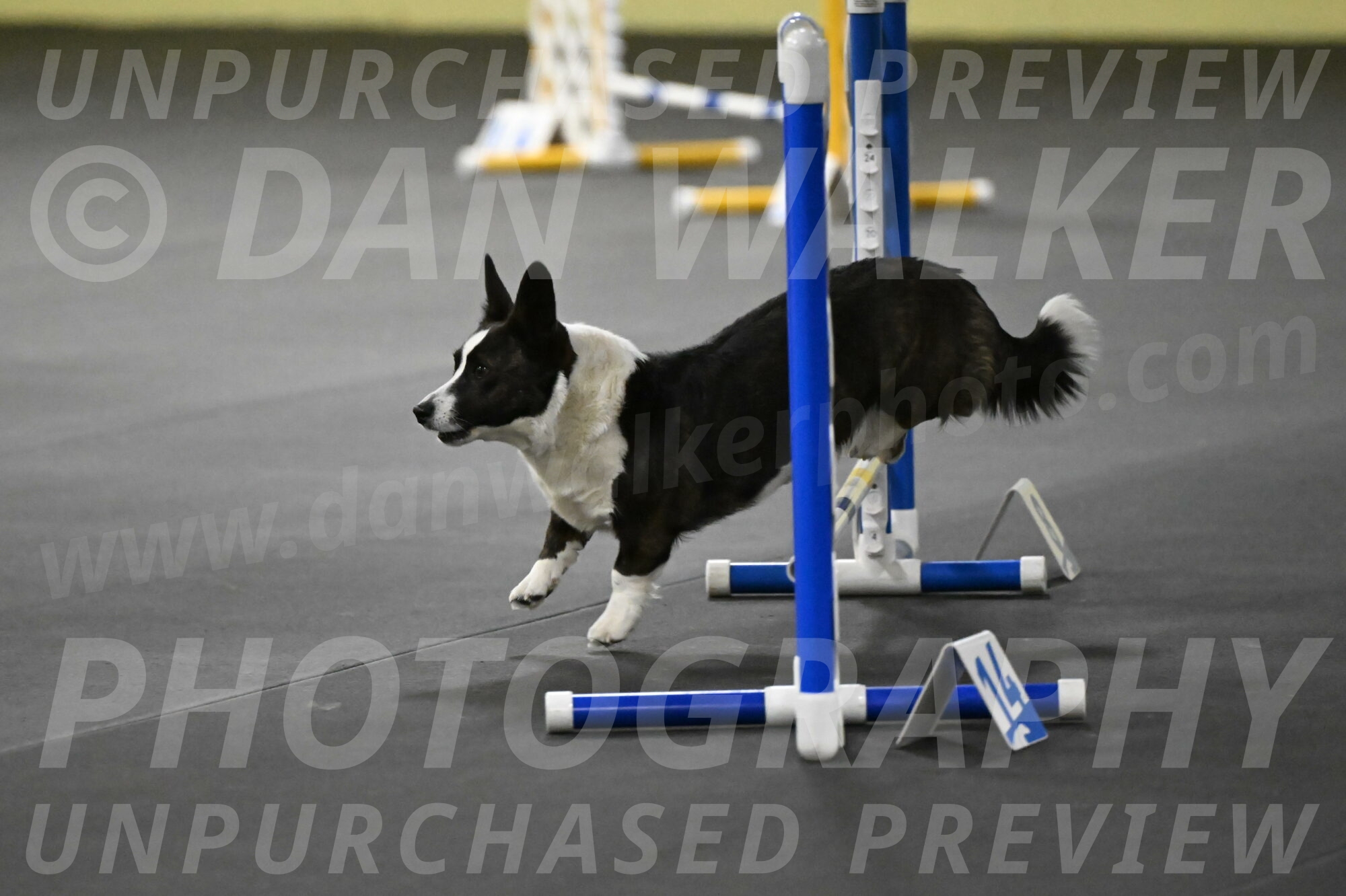 Audacity-Santin-15693