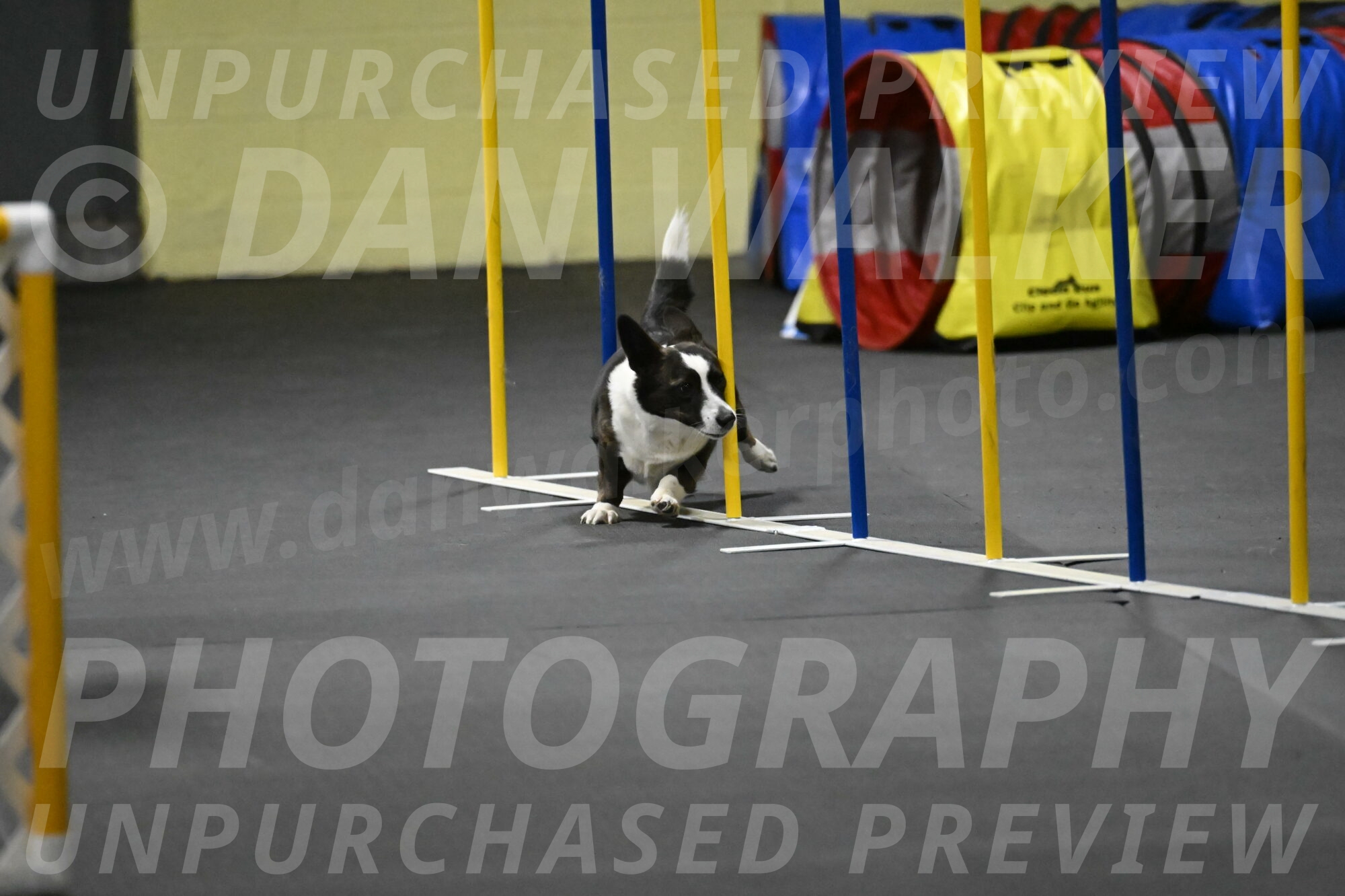 Audacity-Santin-15707