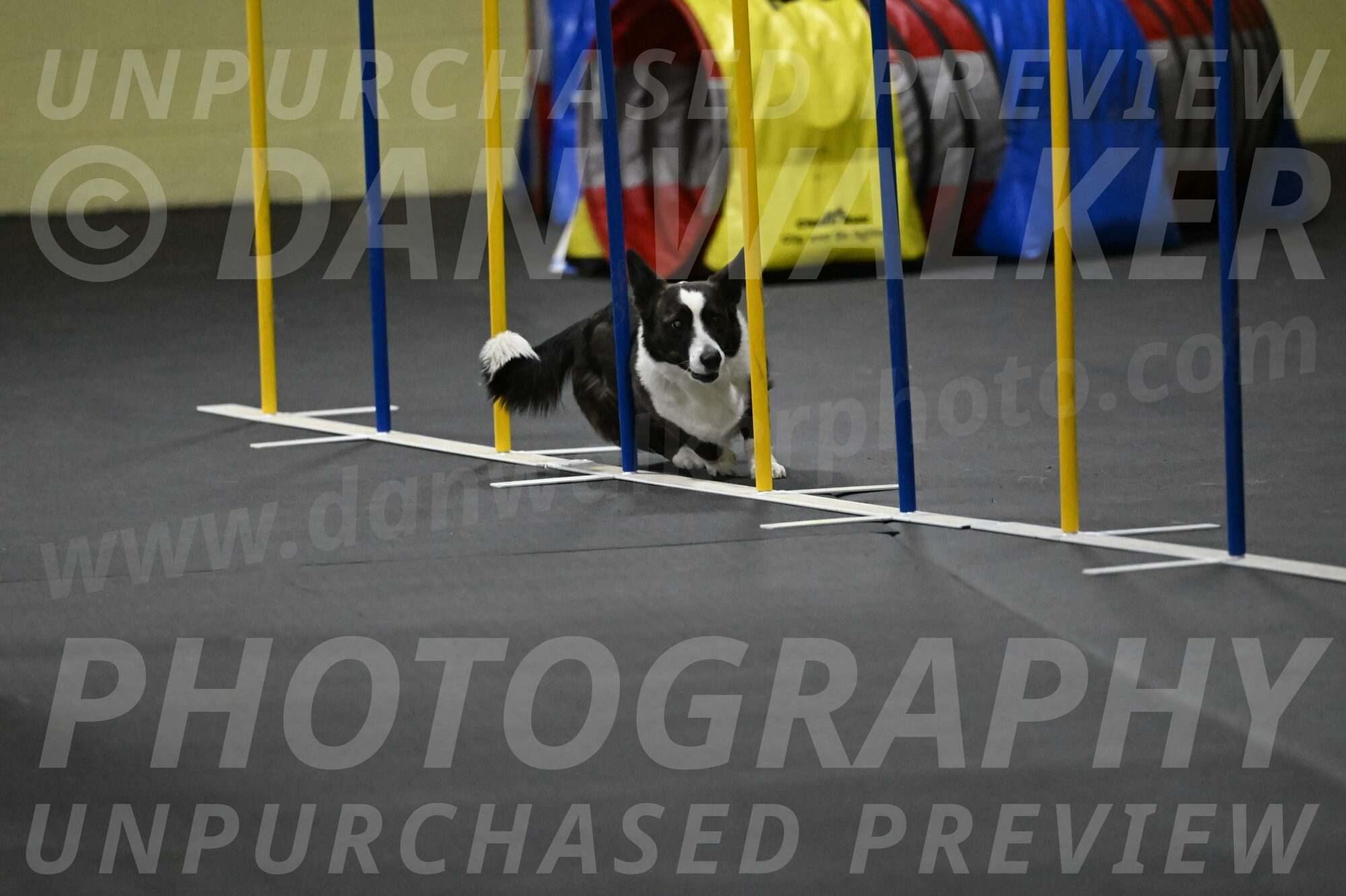 Audacity-Santin-15714