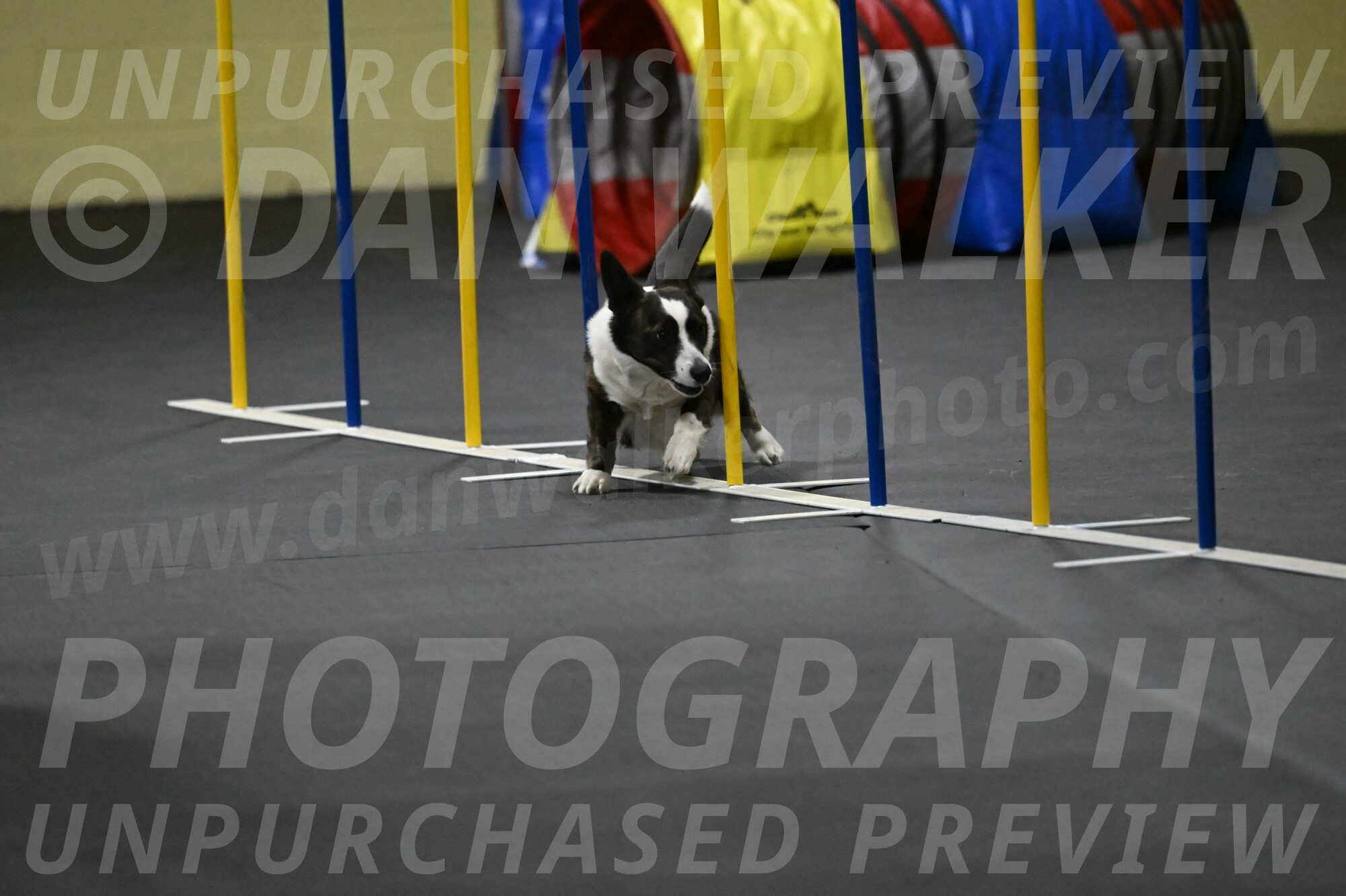 Audacity-Santin-15716