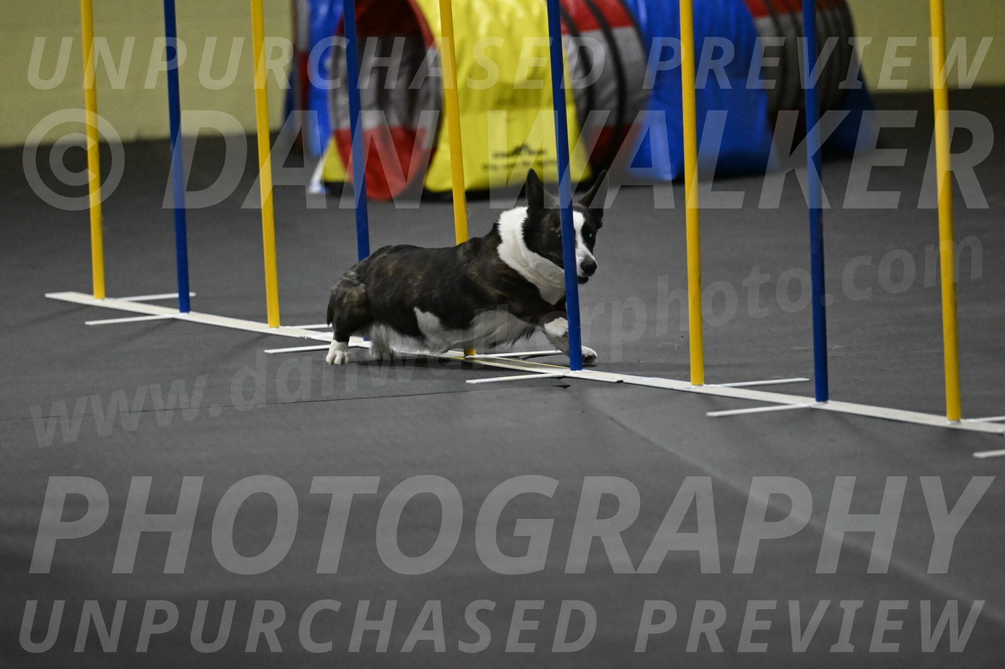 Audacity-Santin-15719