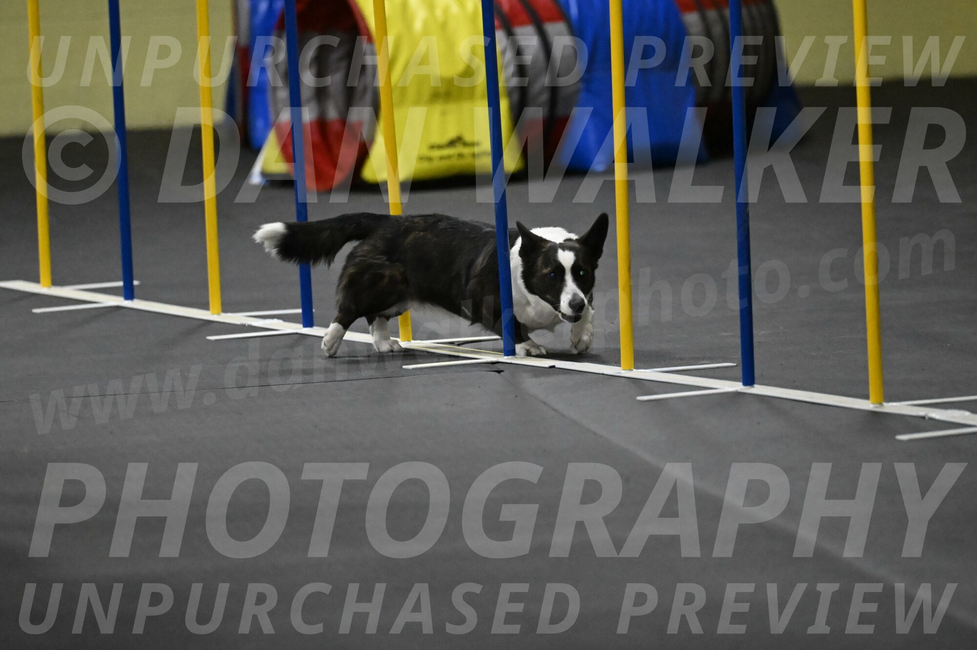 Audacity-Santin-15721