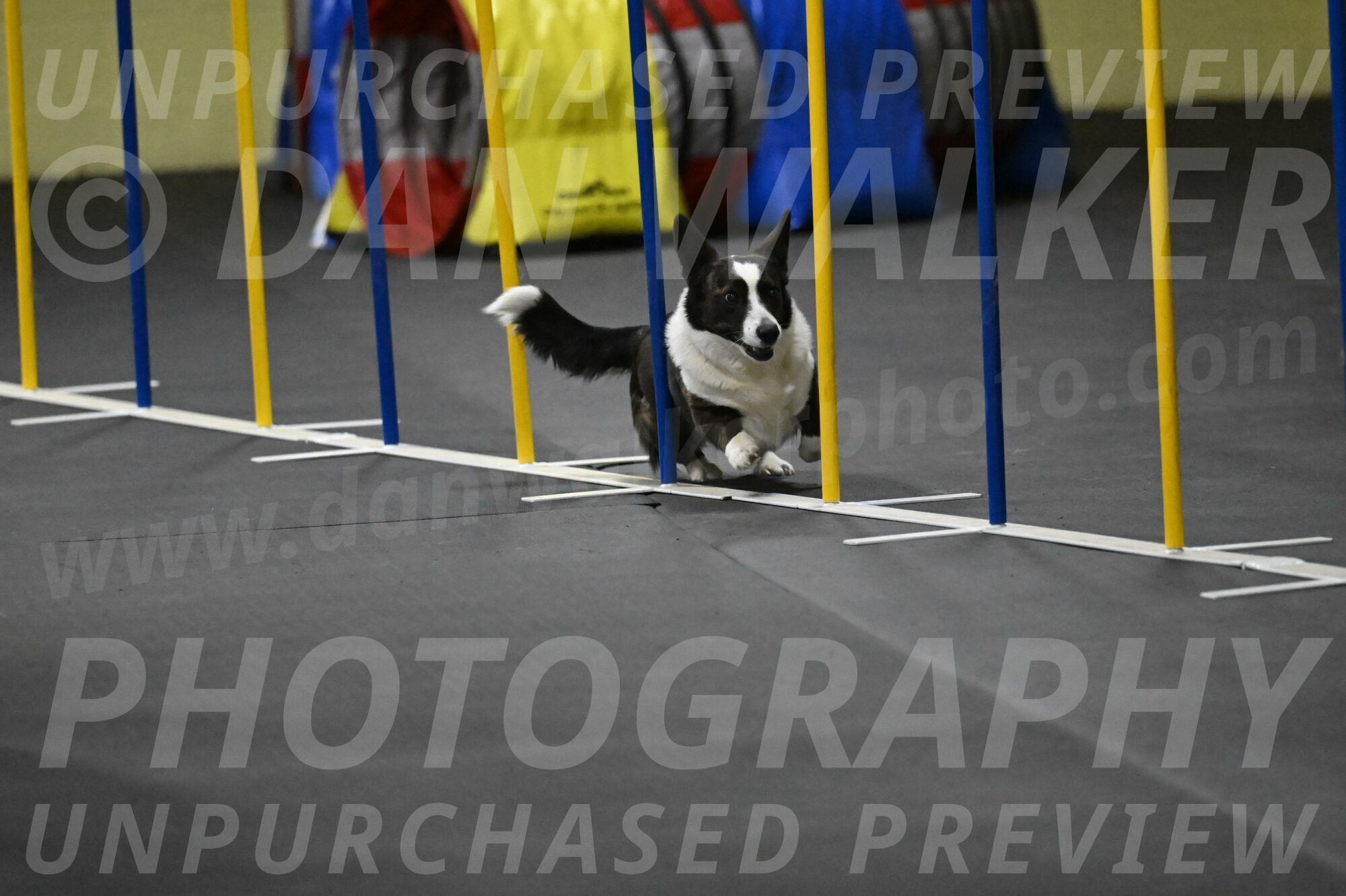 Audacity-Santin-15724