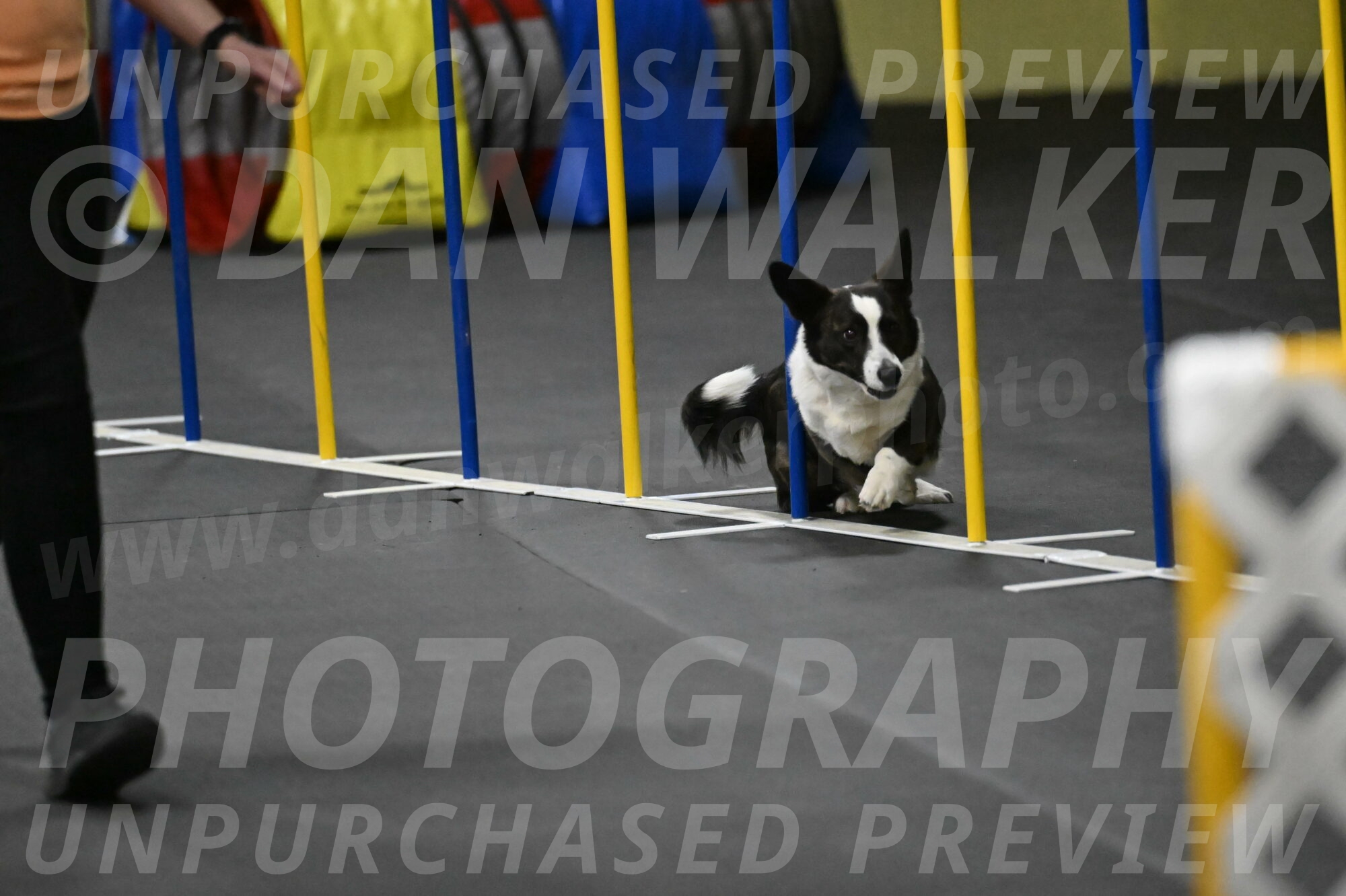 Audacity-Santin-15732