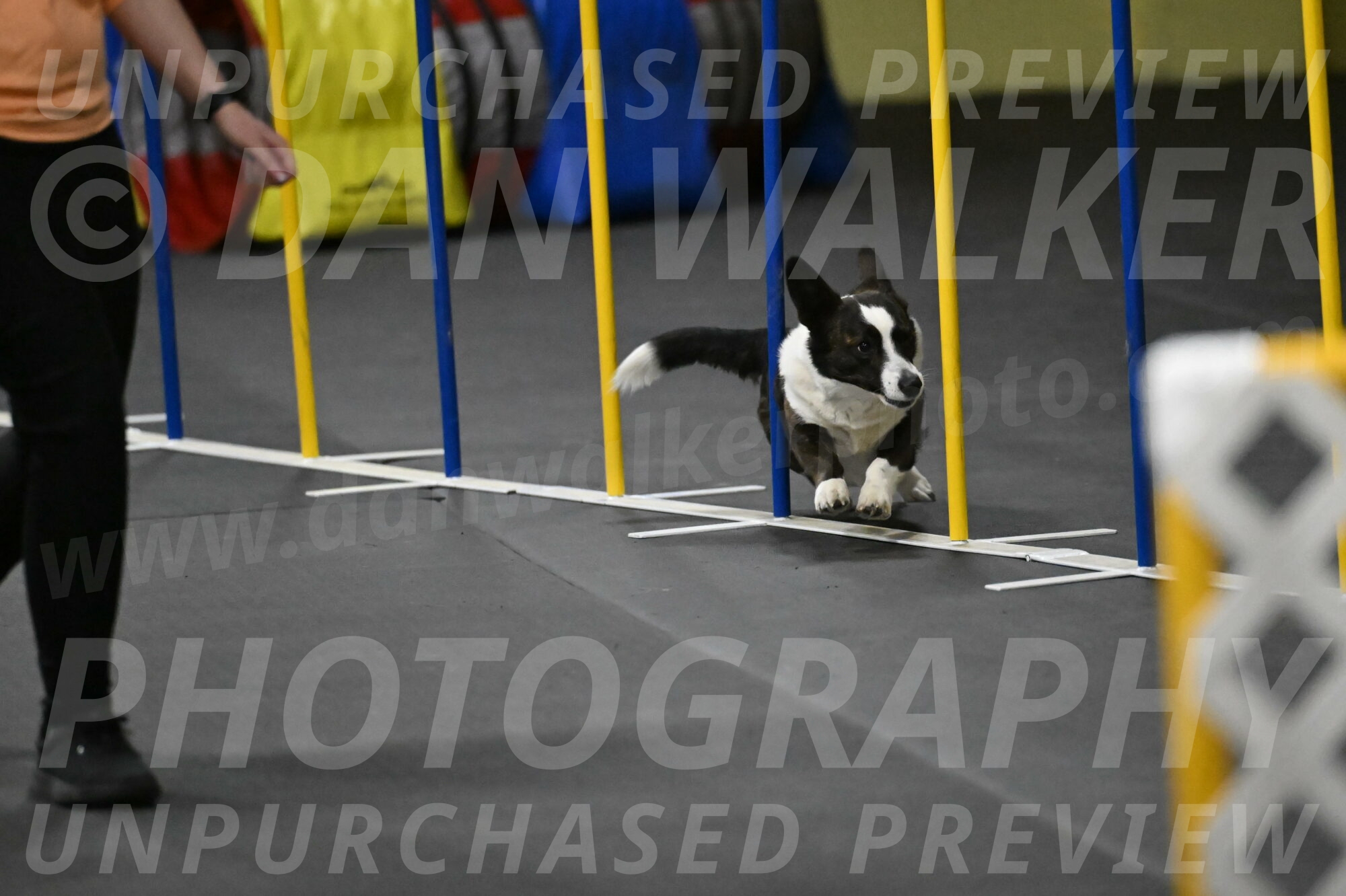 Audacity-Santin-15733