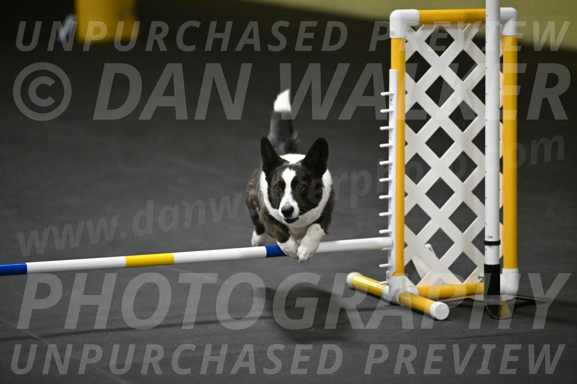 Audacity-Santin-15740