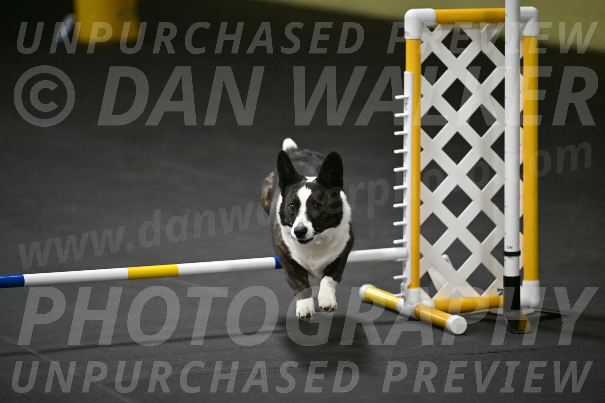 Audacity-Santin-15741