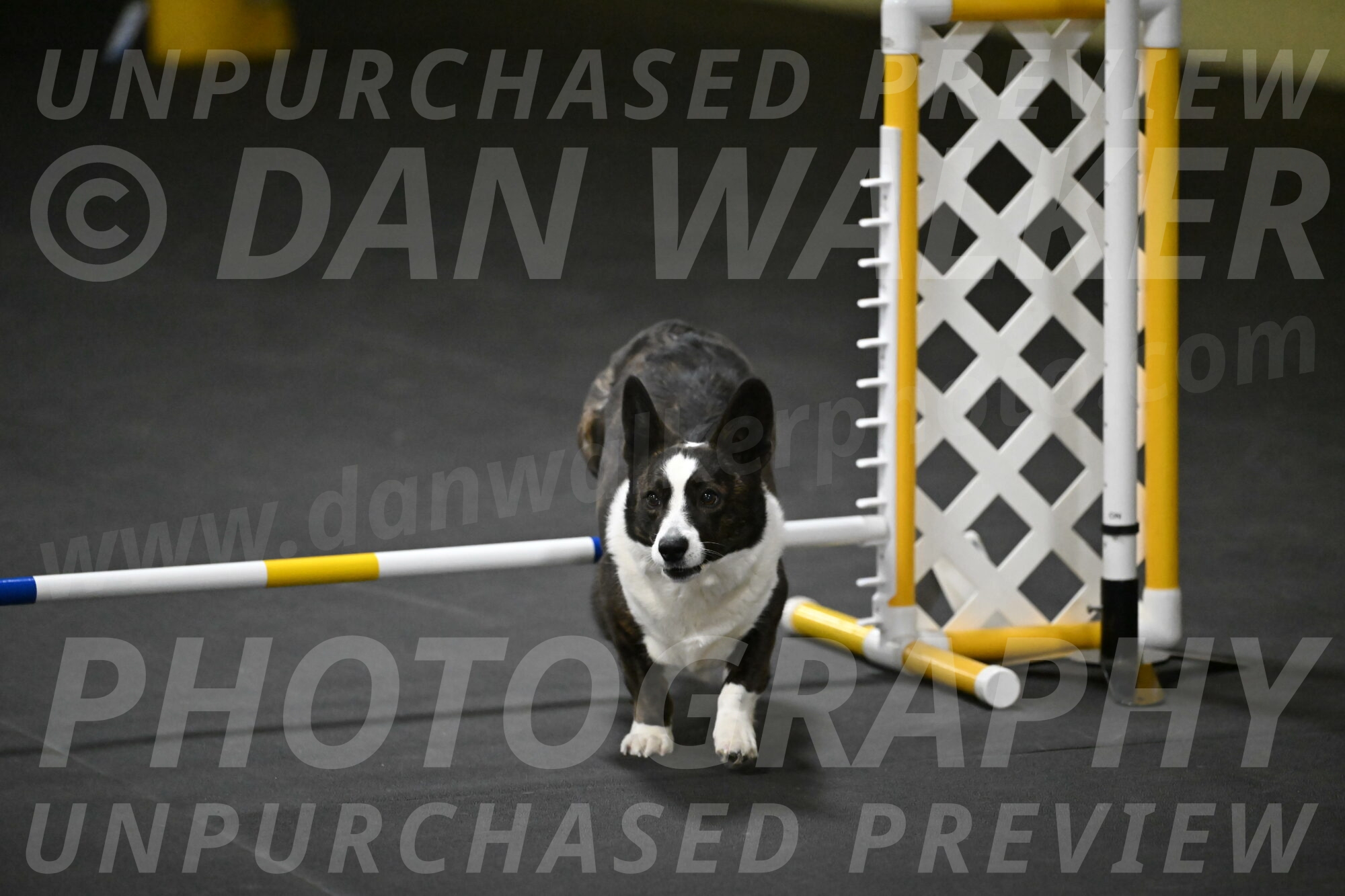 Audacity-Santin-15742