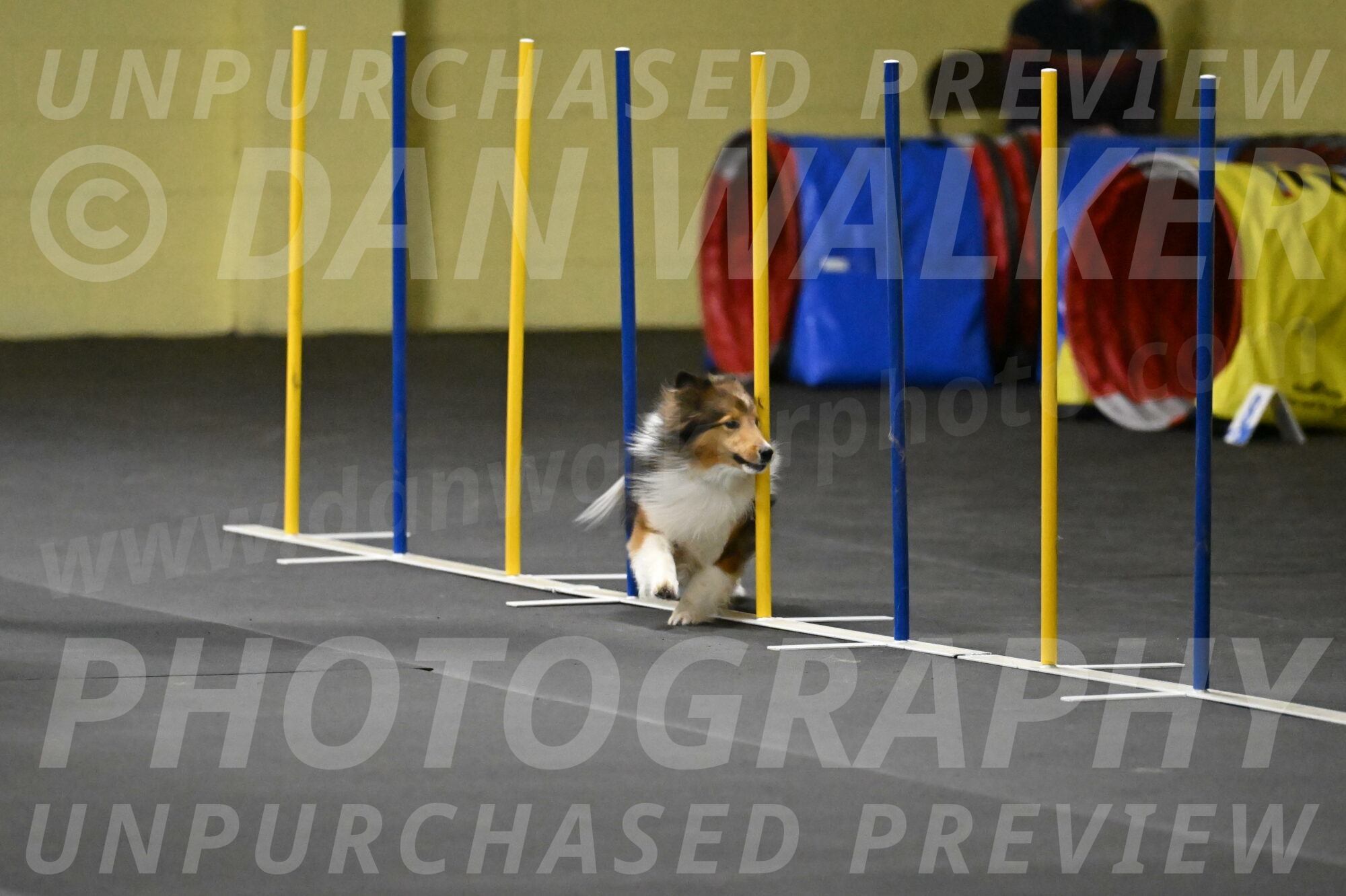 Aurora-Stachurski-02914