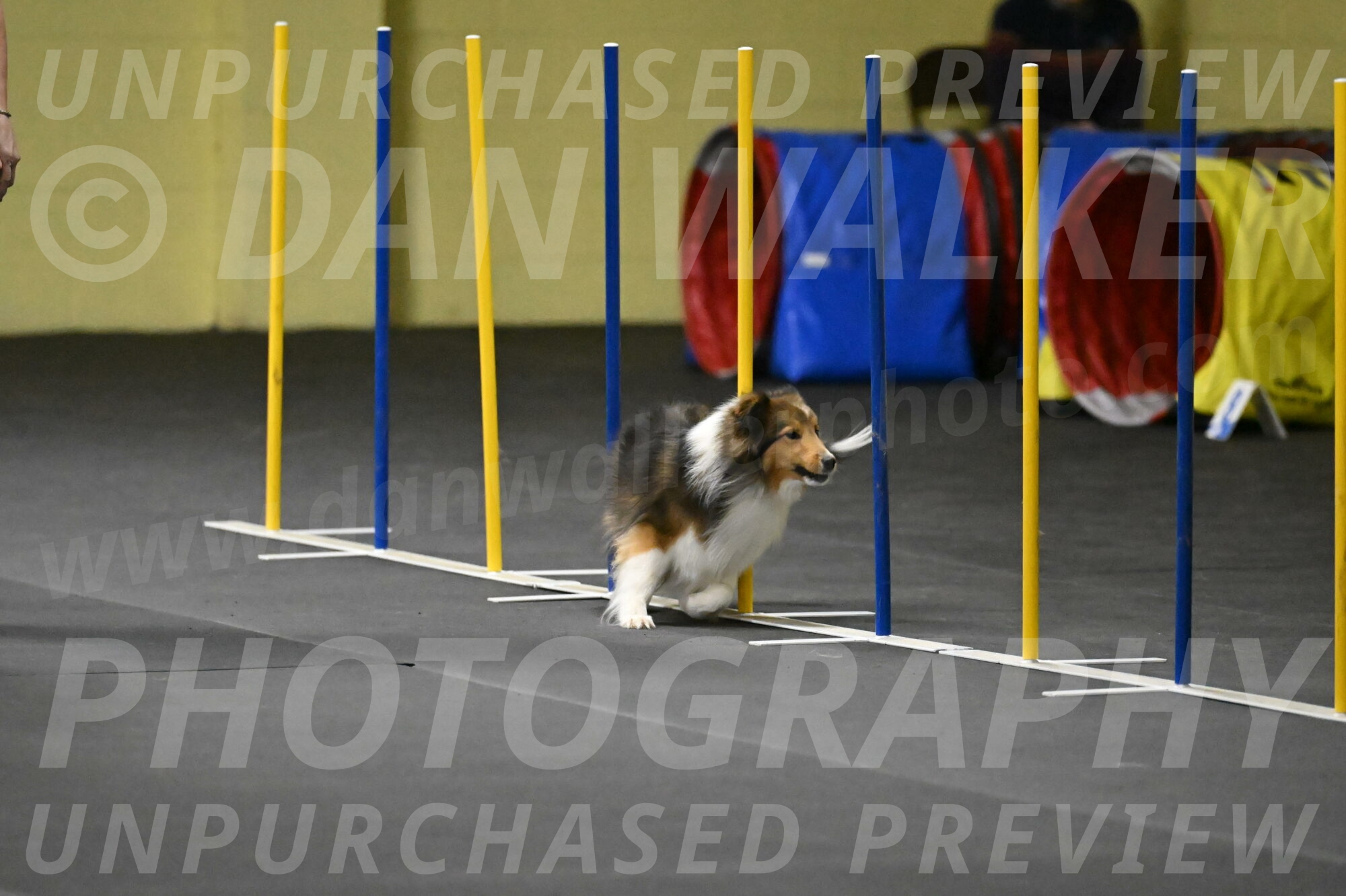 Aurora-Stachurski-02915