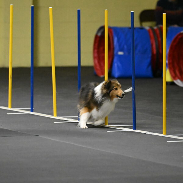 Aurora-Stachurski-02915