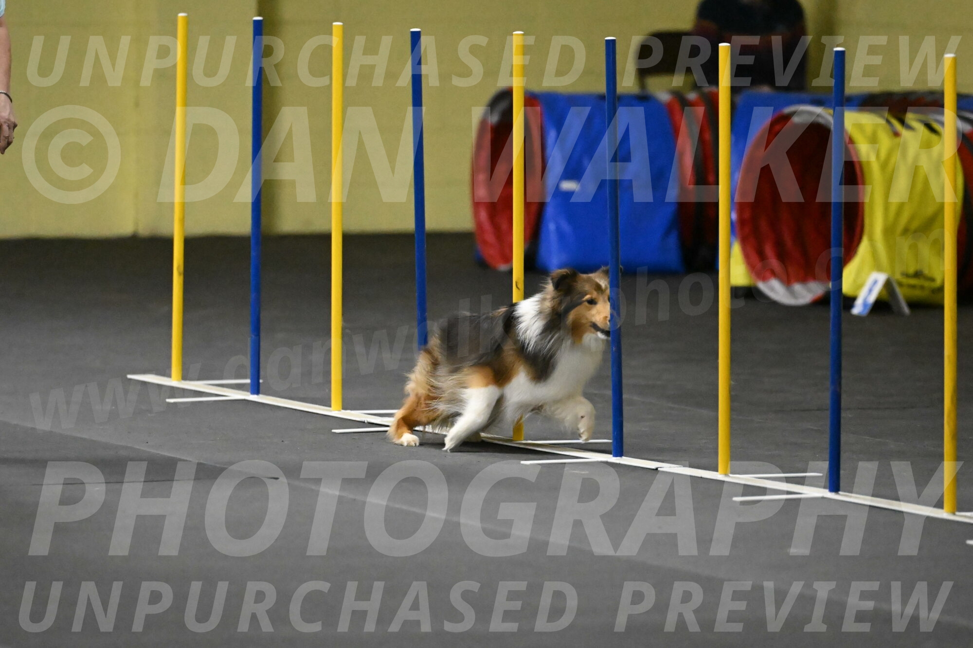 Aurora-Stachurski-02916