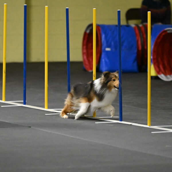 Aurora-Stachurski-02916