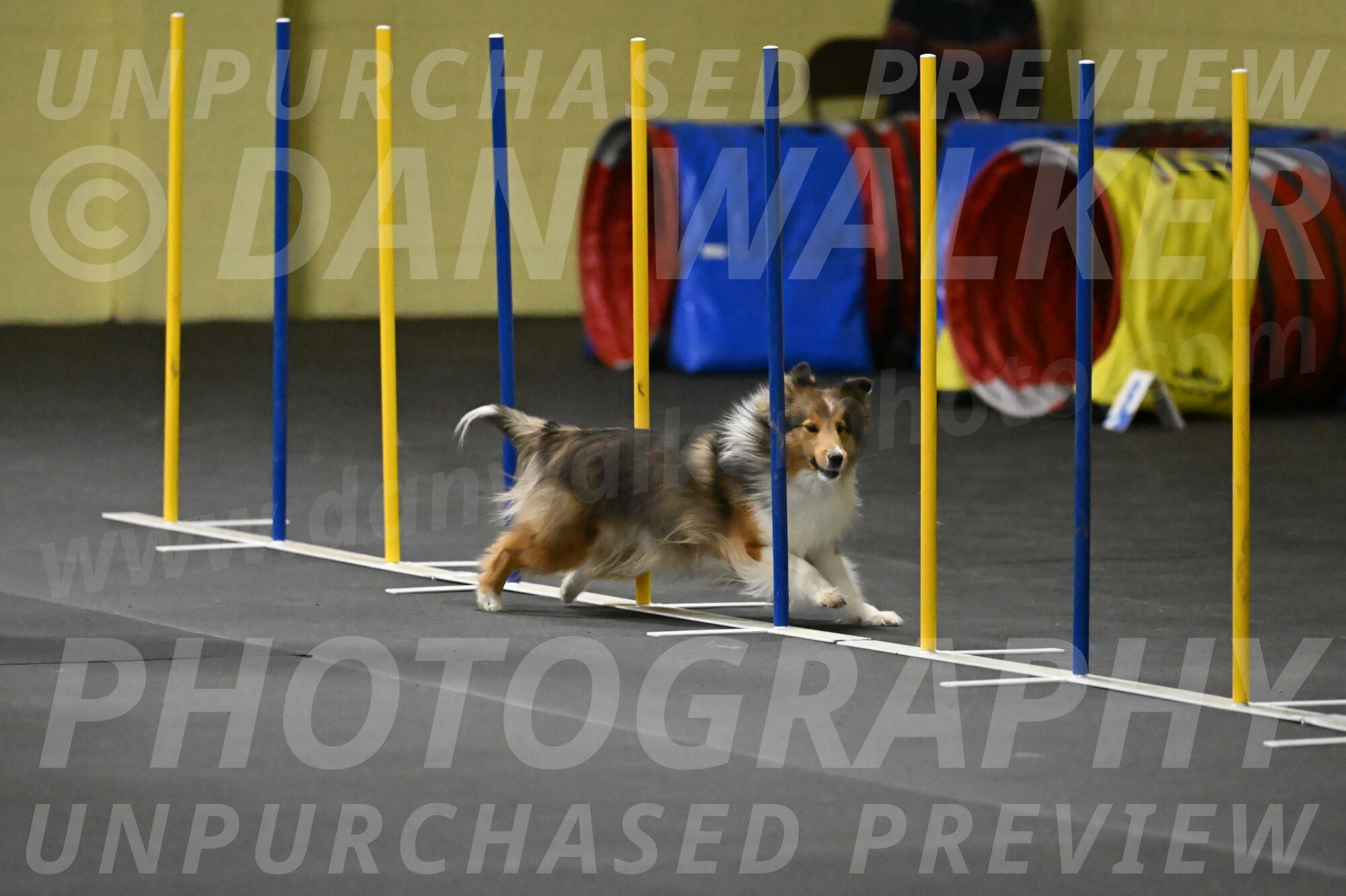 Aurora-Stachurski-02917