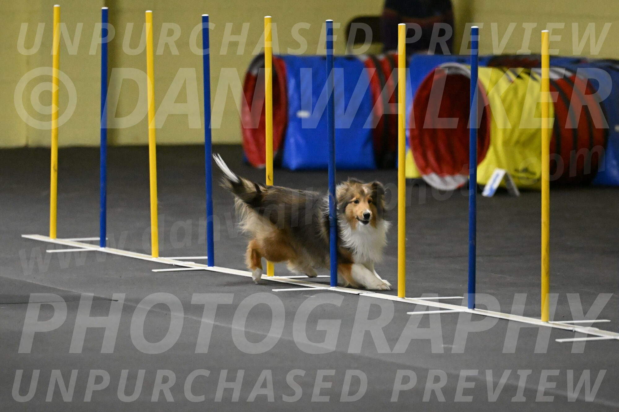 Aurora-Stachurski-02918