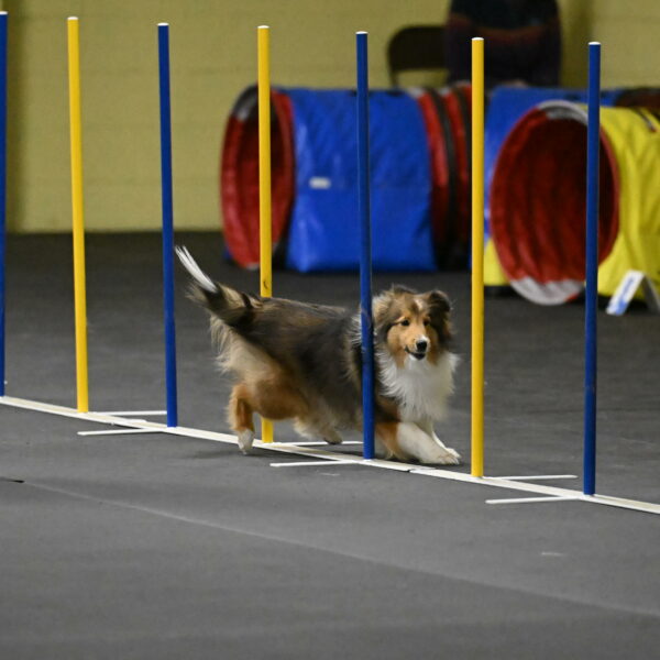 Aurora-Stachurski-02918