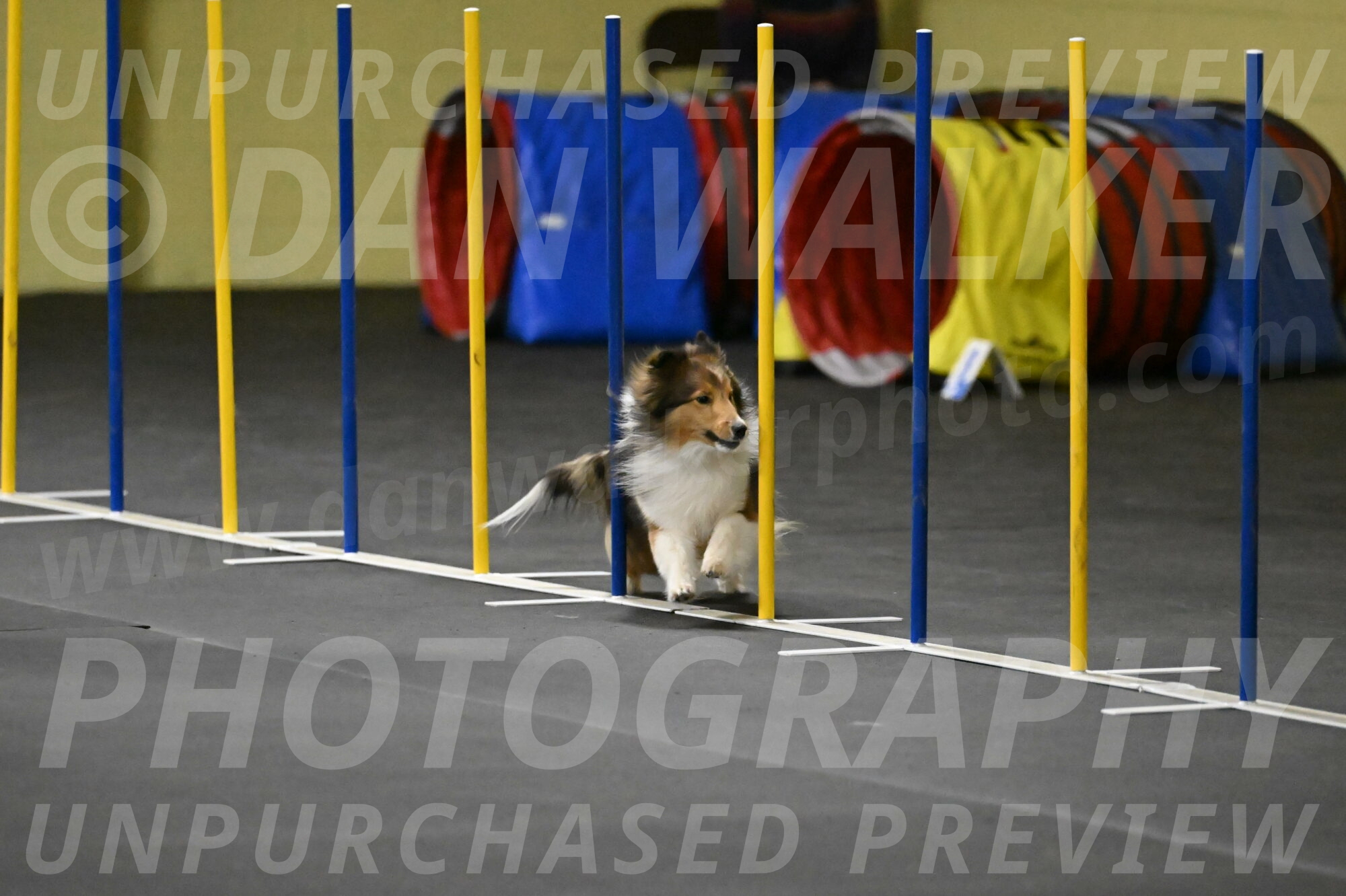 Aurora-Stachurski-02920