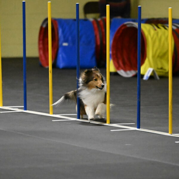 Aurora-Stachurski-02920