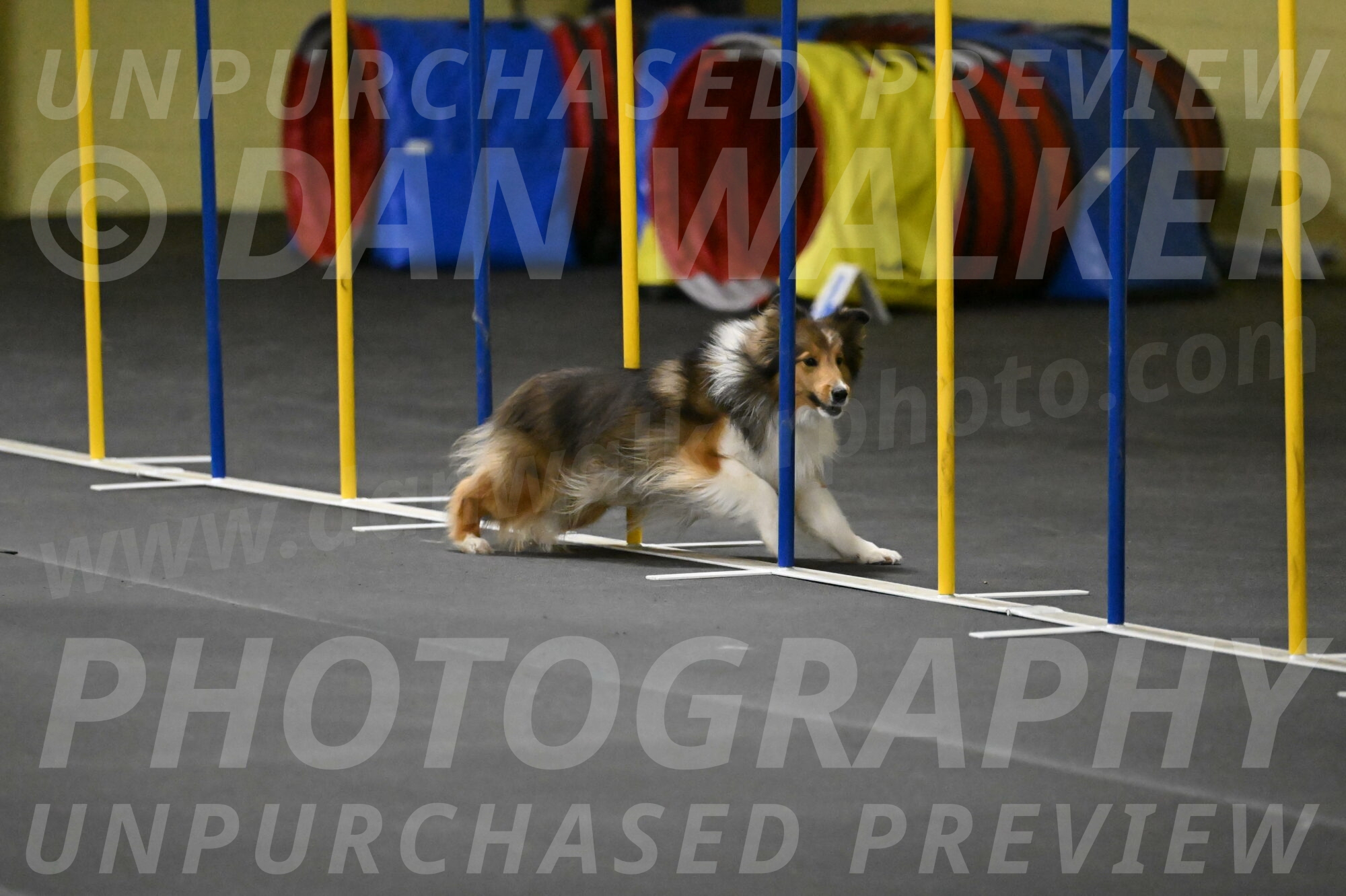 Aurora-Stachurski-02923