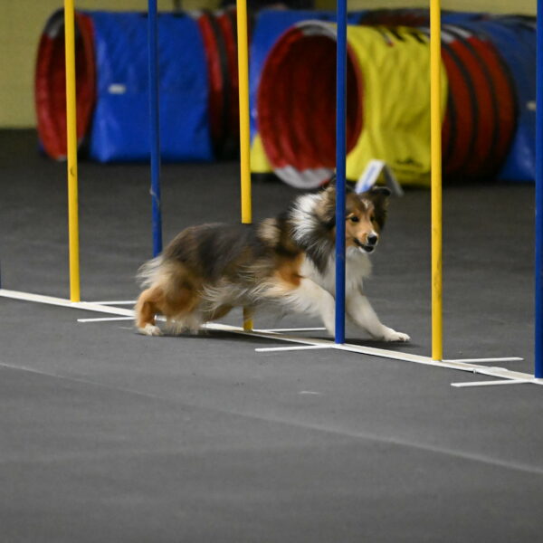 Aurora-Stachurski-02923