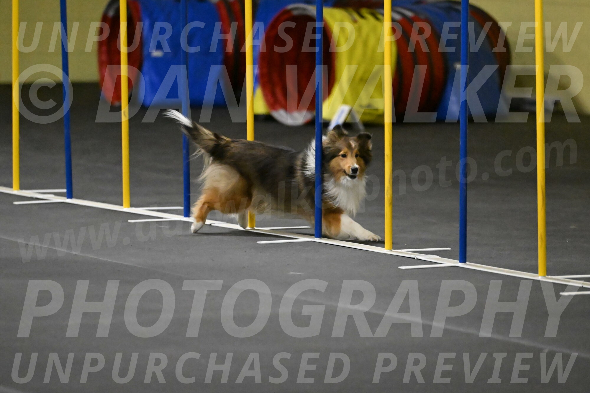 Aurora-Stachurski-02924