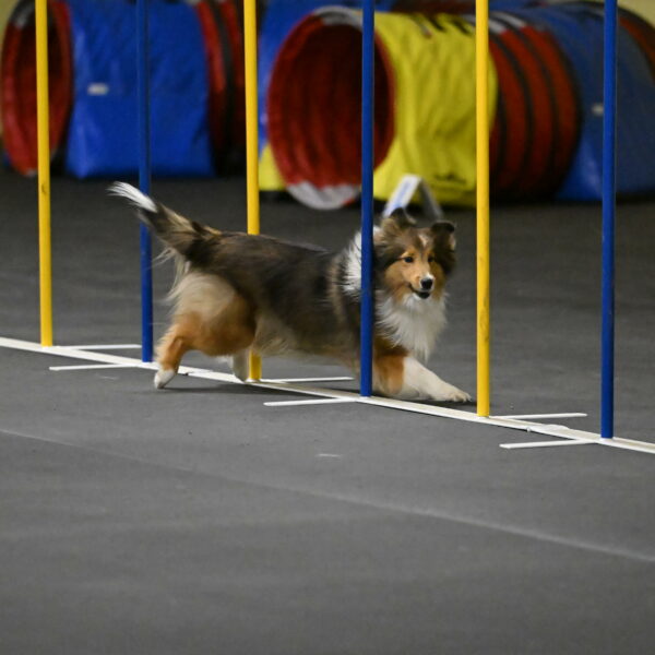 Aurora-Stachurski-02924